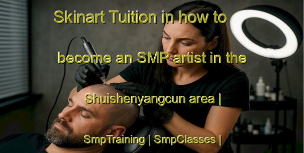 Skinart Tuition in how to become an SMP artist in the Shuishenyangcun area | SmpTraining | SmpClasses | SkinartTraining-China